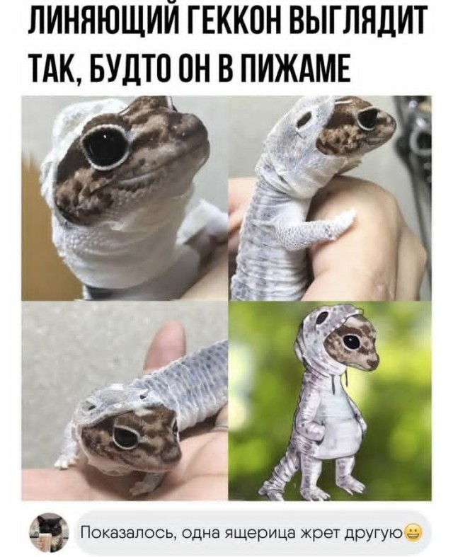 Маленькая пятница