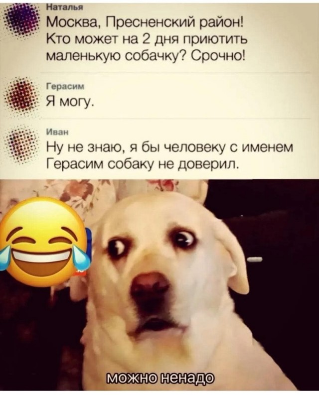Воскресные картинки