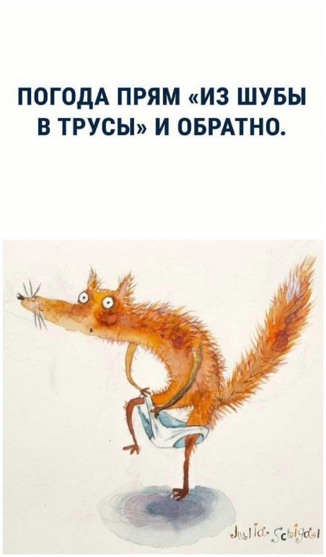 Так себе картинки 15.10.25