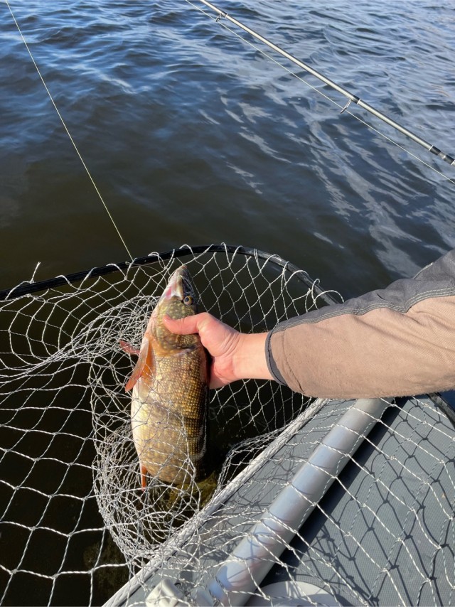 Рыбалка на средней Волге