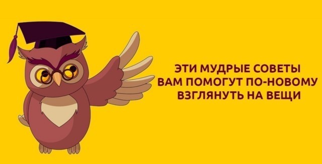 Мудрость дня!#5