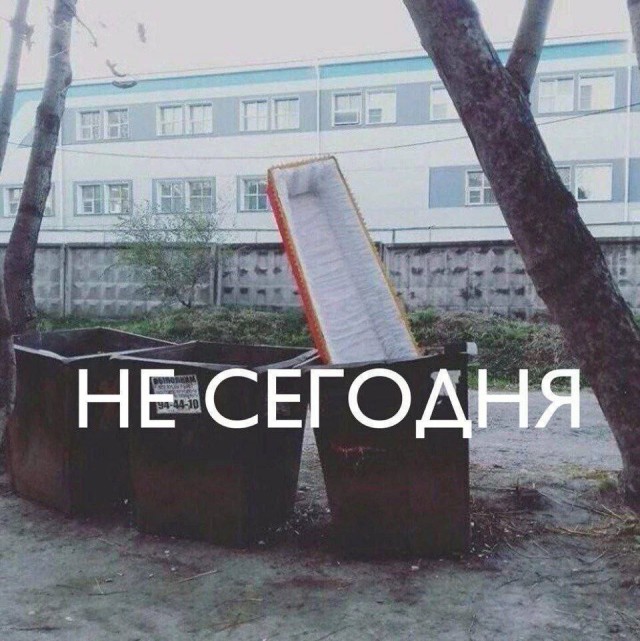 Бойся, шофёр