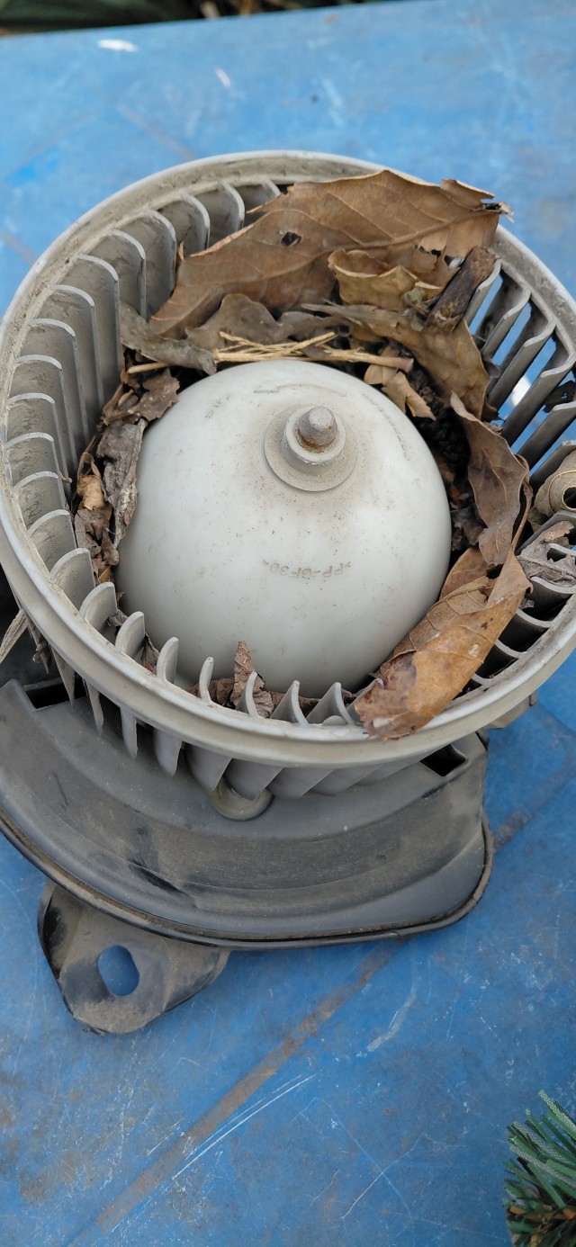 Опель-этожопель