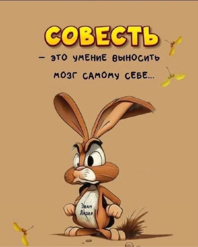Среды картинки
