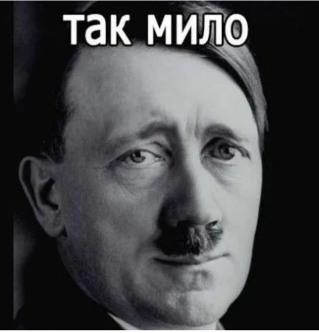 В Германии придумали туалетный ёршик под названием Shitler