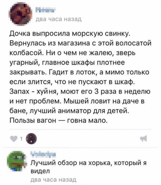Воскресные картинки
