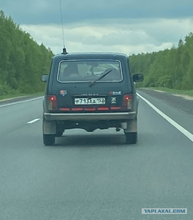 Поймал ЯПовца