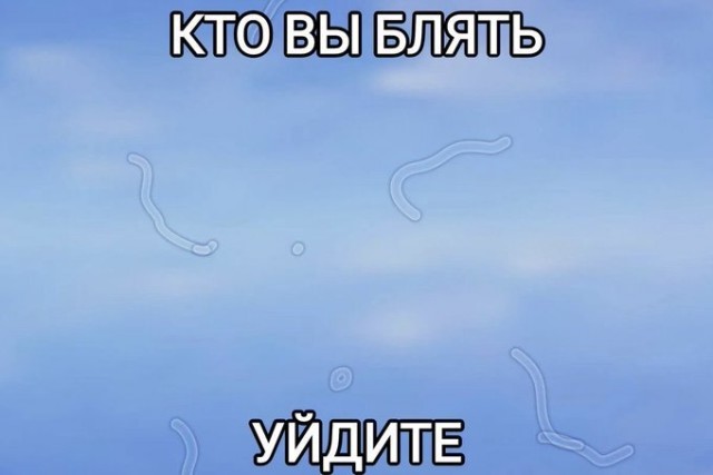 Картинки для деградации 135 (разной степени свежести)
