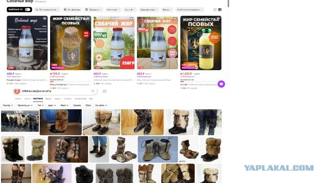 В Сочи неизвестный расстрелял бездомных собак из дробовика