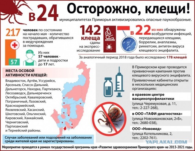Шашлык в самолете. Можно ли?
