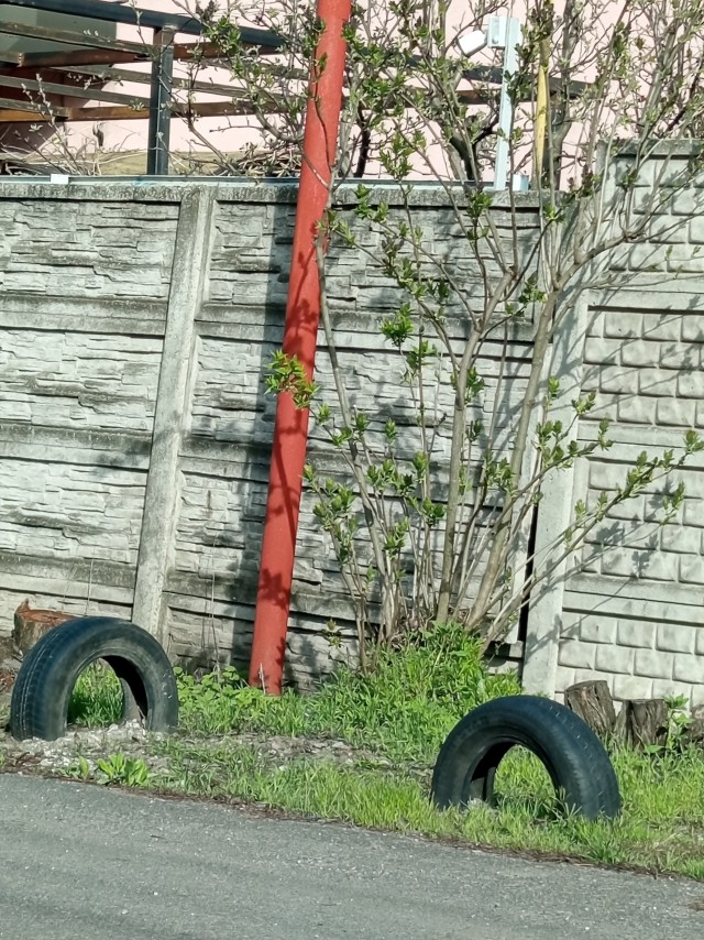 Дачные соседи