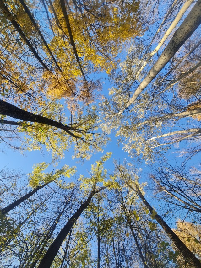 Просто немного фотографий