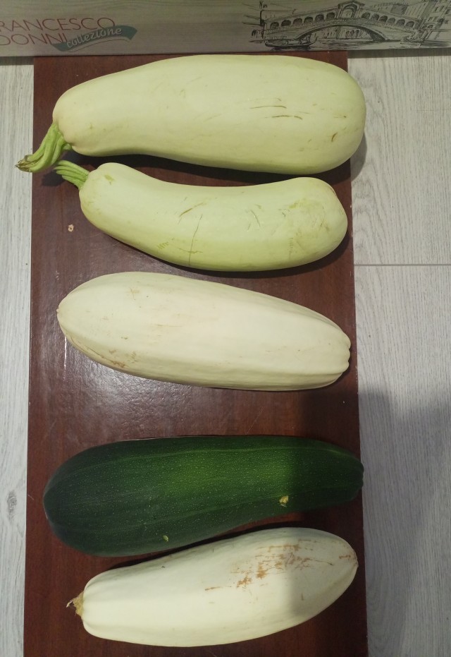 Началось