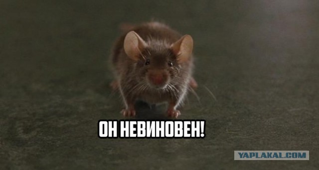 Краткое содержимое фильма