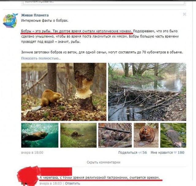 Смешные комментарии из социальных сетей