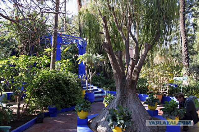 Новогодняя ночь в пустыне Сахара