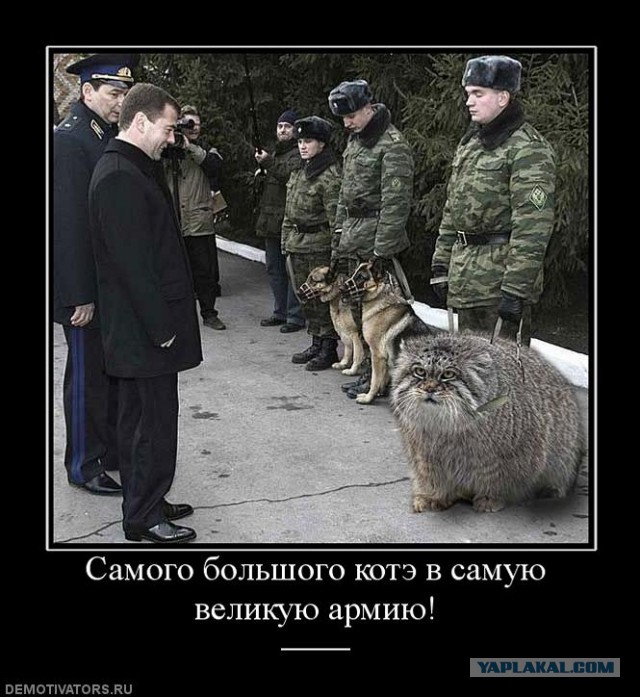 Европа напугана