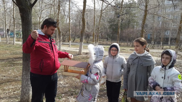 Как я запилил кормушку.