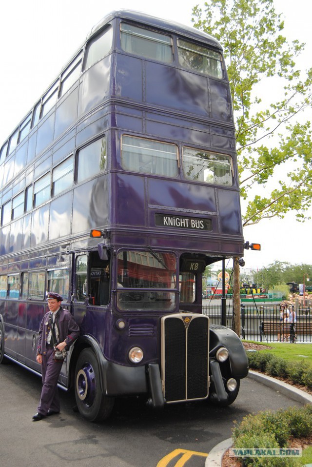 Каникулы во Флориде