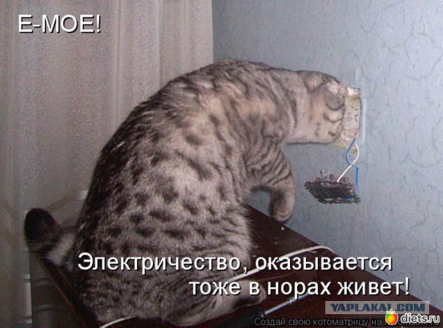 Наши электрики рулят