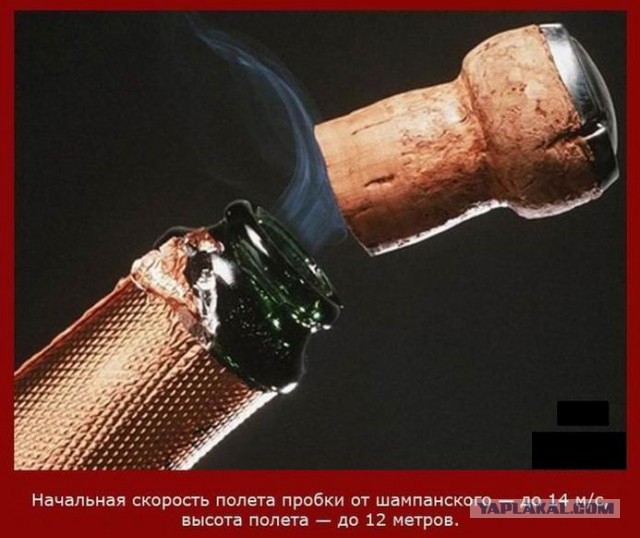 20 фактов обо всем