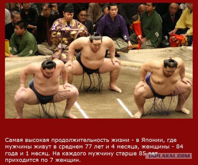 20 фактов обо всем