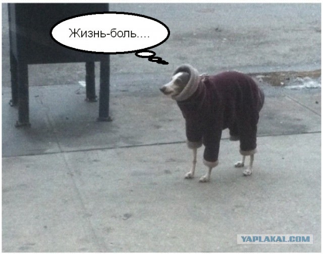 О хорошем