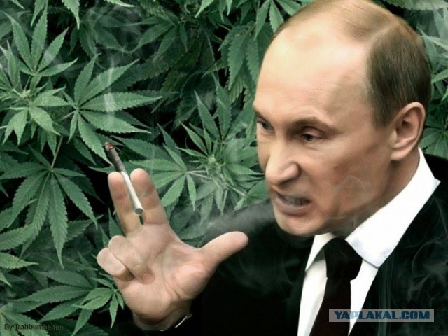 Абсурдный юмор ч.7