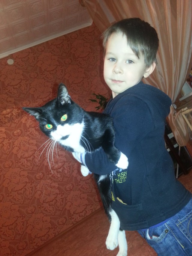 Котовторник  01.03.2016