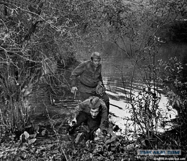 Вырезанная сцена из "Д'Артаньян и три мушкетёра"