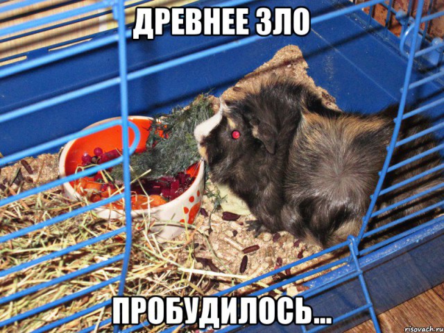 Шесть причин не жениться на разведенке с ребенком