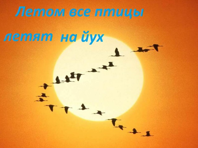 Подборка интересных и смешных картинок