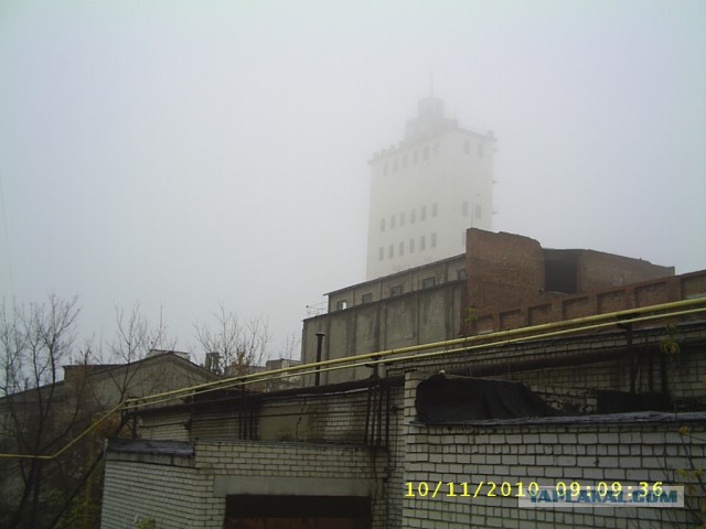 Таким я вижу мир