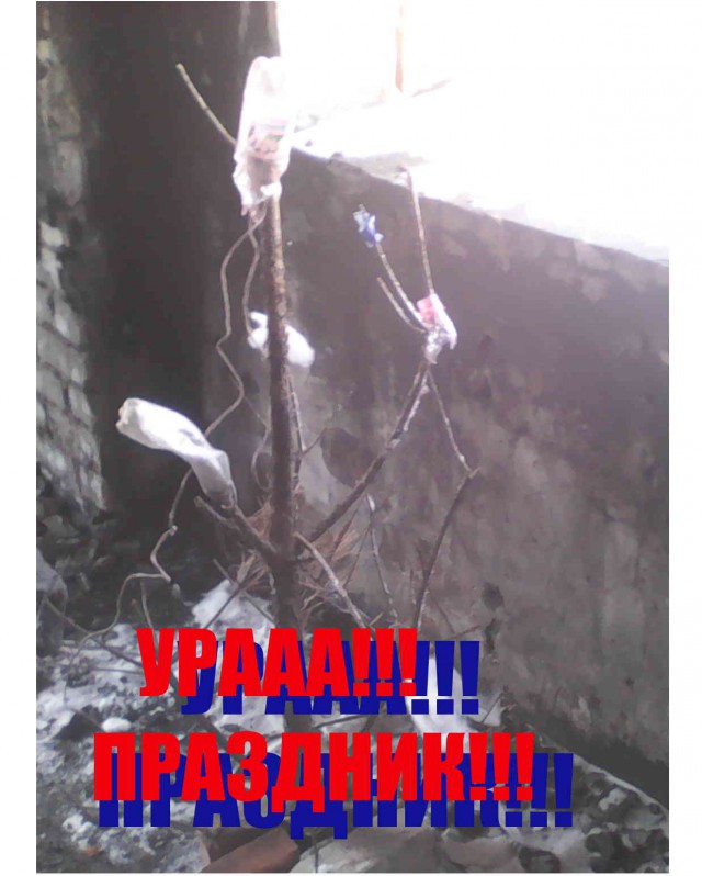 Скоро Новый Год. Но как-то грустно...