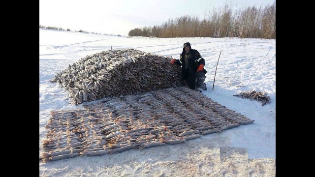 Рыбалка 2017. ХМАО-Югра.