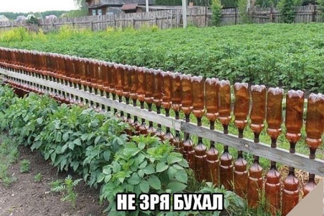 Алкогольный юмор 18+