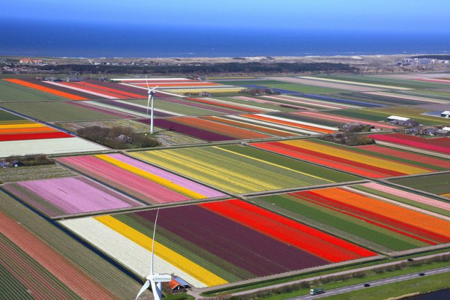 Набористый набор картинок