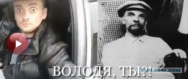 Изловили животинку