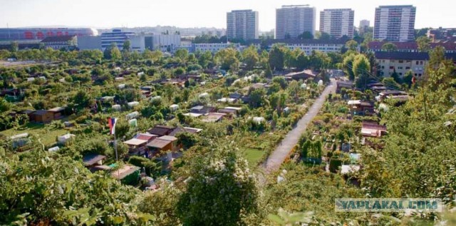 Хватит жаловаться: уехавшая в Швецию россиянка развенчала миф о хорошей жизни в Европе