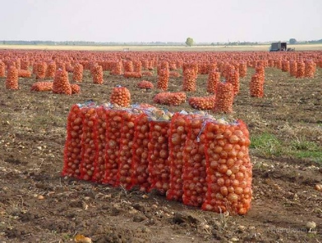 Картинки, на которые стоит взглянуть