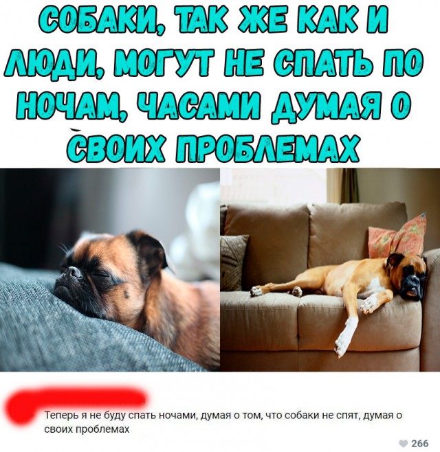 Немного картинок на выходные