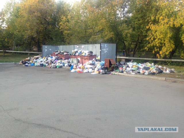 Челябинск завален мусором