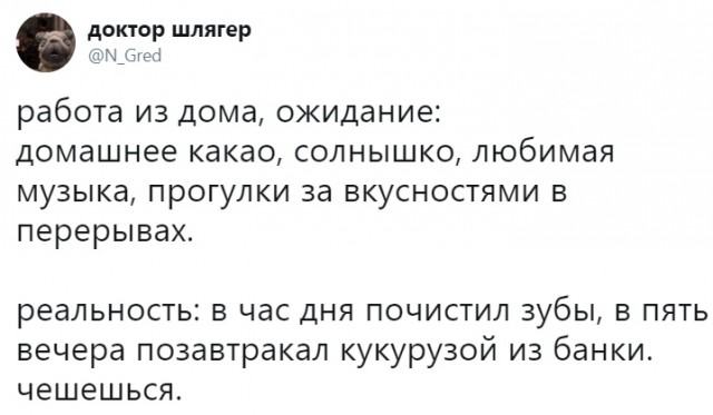 Прикольные комментарии и высказывания из Сети  31. 10 2018.