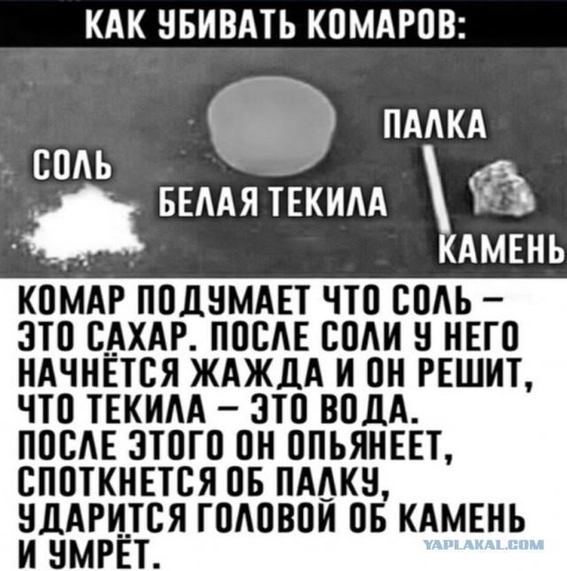 Немного картинок