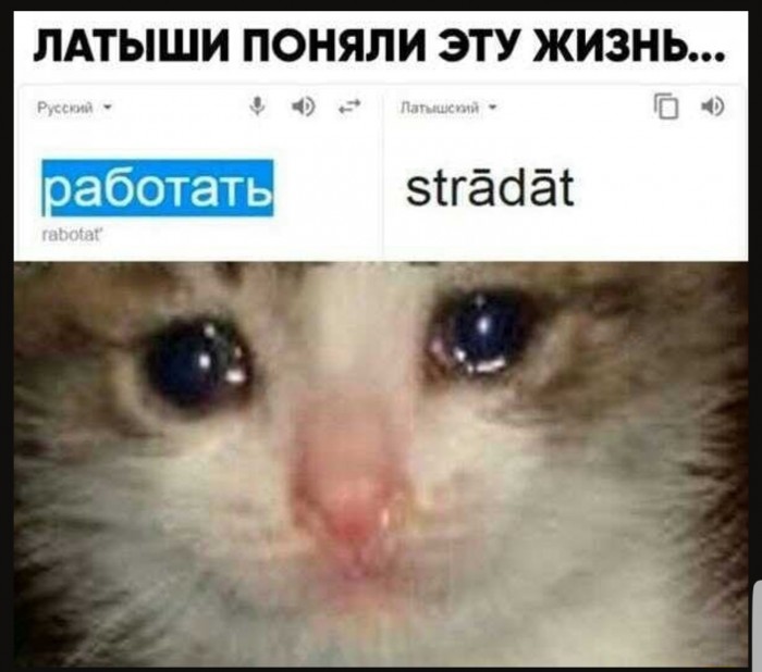 Нестандартный юмор