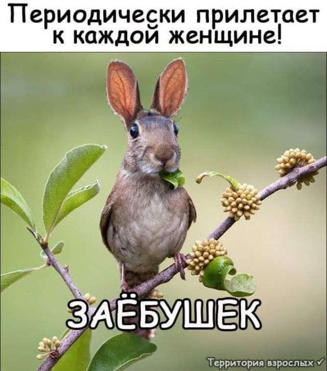 Немного смешных картинок