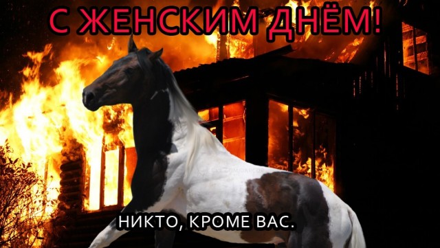 Любовь прошла, завяли помидоры