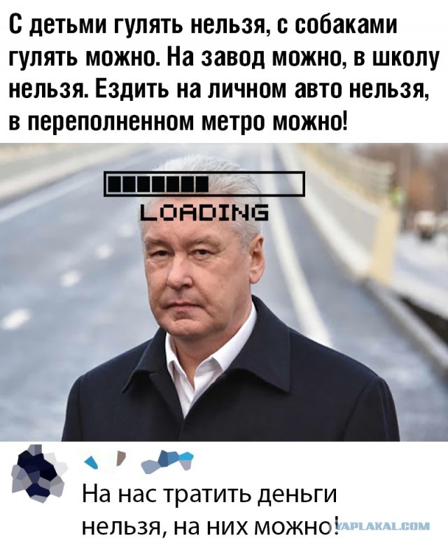 Несколько картинок