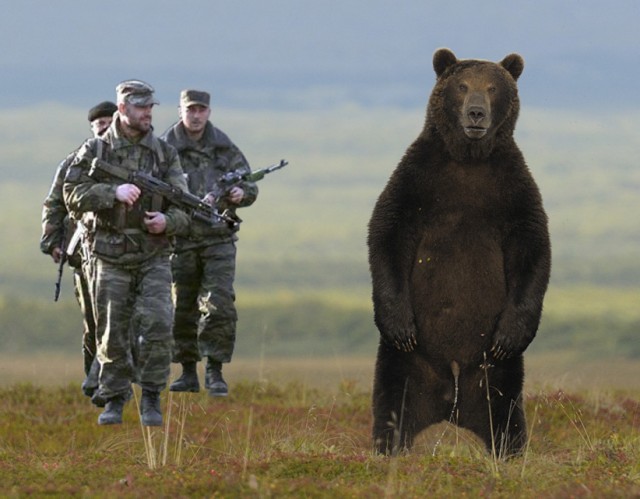 "Смелый" мишка