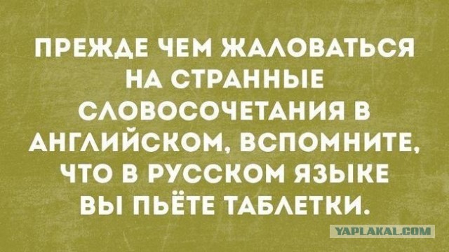 Пить или не пить?